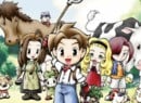 What's The Best Harvest Moon / Story Of Seasons Game? Rate Your Favourites For Our Upcoming Ranking