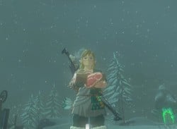 Zelda: TOTK Players Discover Simple Way To Make Rupees With 'Frozen Meat Glitch'